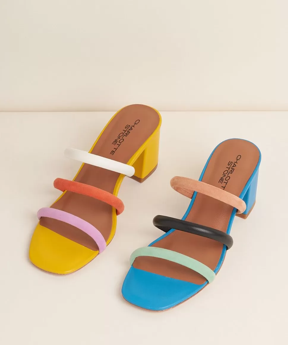 belle_in_confetti_2-1.webp Store Charlotte Stone Belle In Confetti